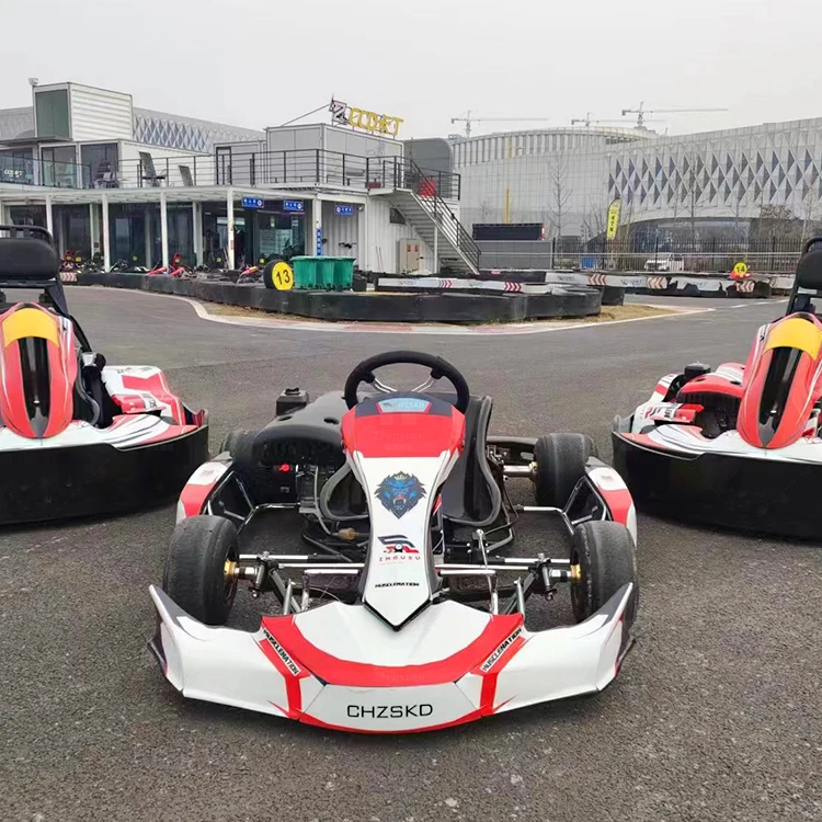 Customized Color Hot Racing Go Karts for Adults Kids 220cc Engine Fun Amusement Park Shopping Mall Center