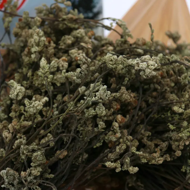 
dry production dried bracken dried Vegetables 