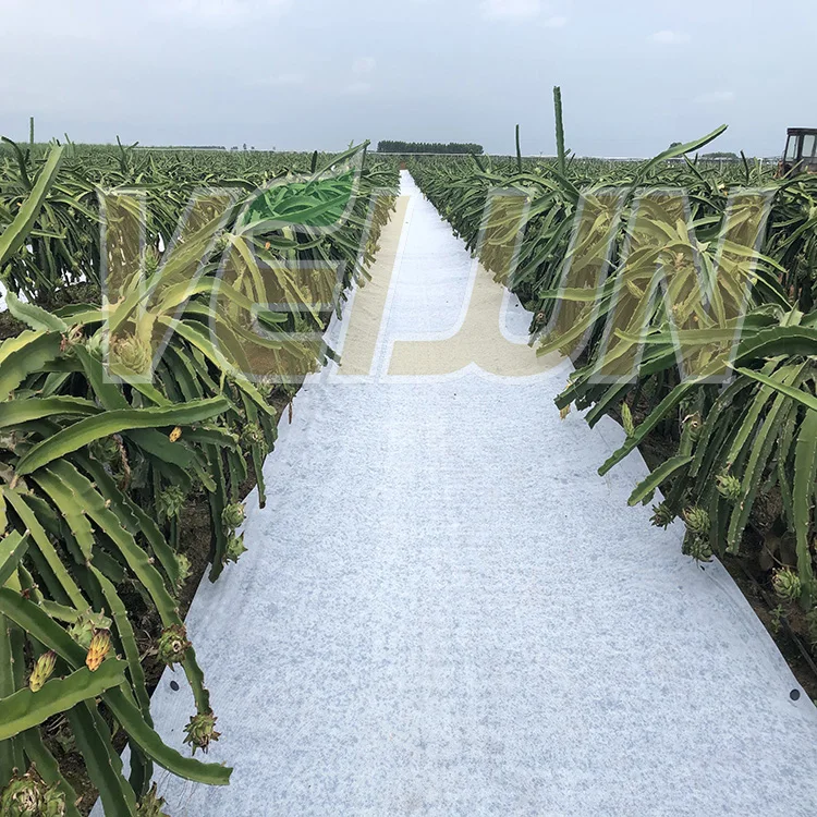 Biodegradable PP non-woven plant weed control mat in garden