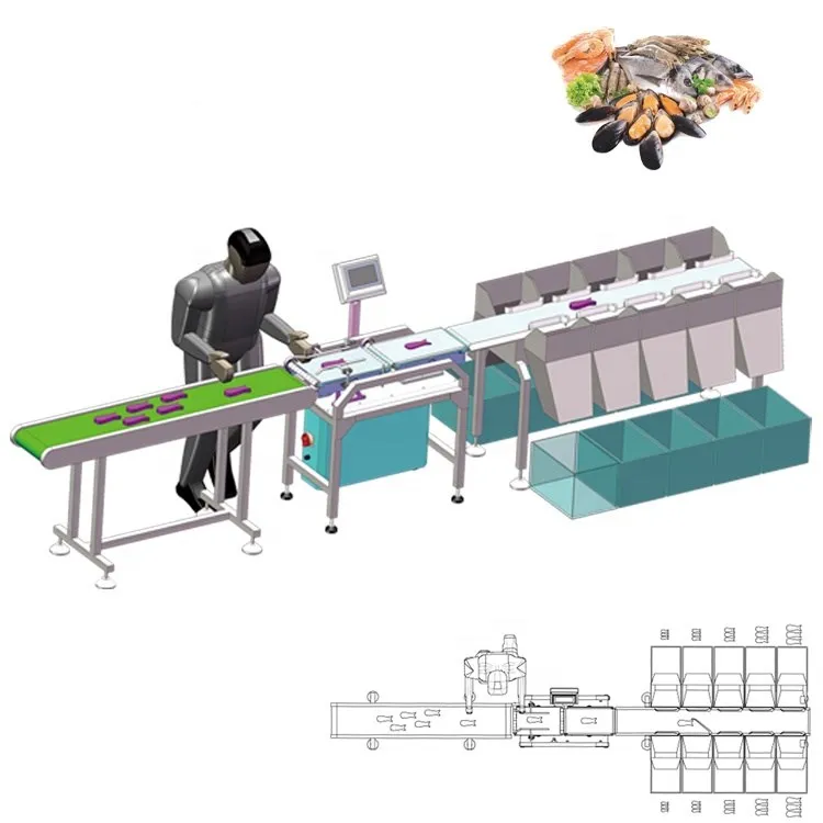 
Frozen Salmon/Fish chicken Weight Sorting Machine/steak seafood shrimp Weight Sorters 