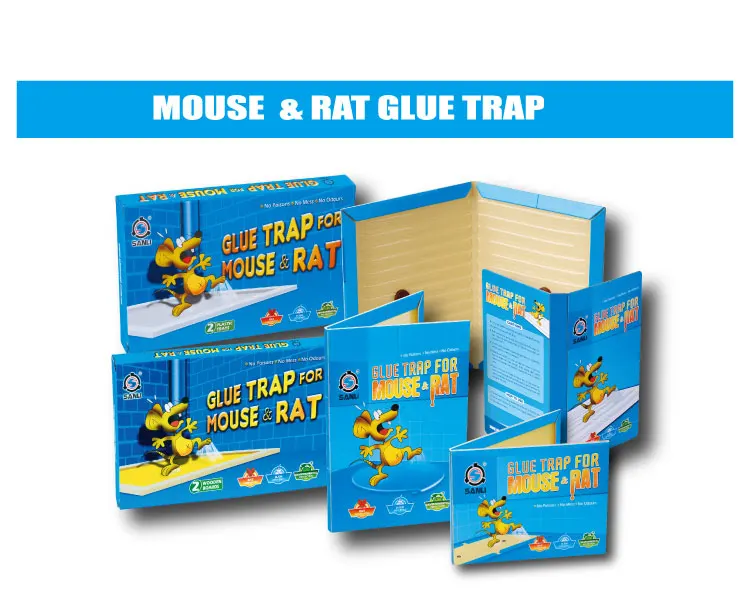 -mouse-glue-trap.jpg