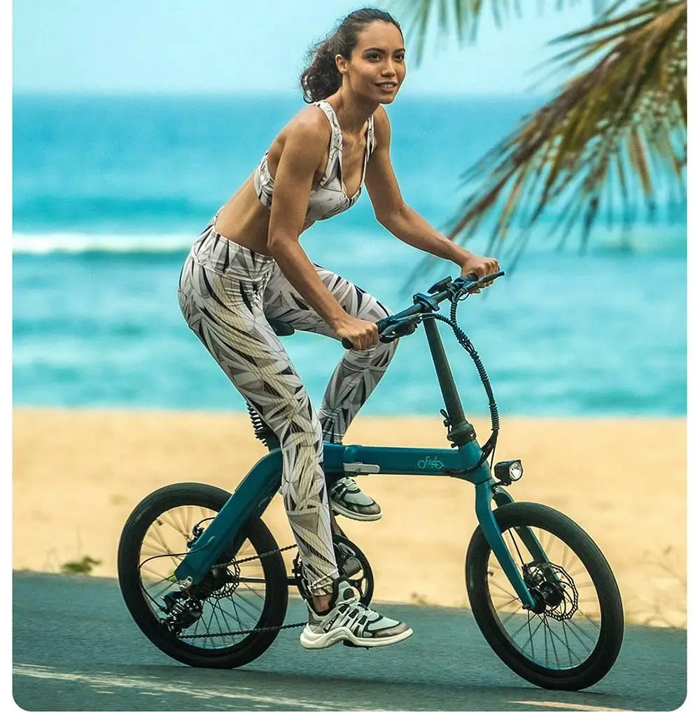 [Poland Stock] FIIDO D11 Folding Electric Moped Bicycle 20 Inches Tire 25km/h Max Speed Three Modes 11.6AH Lithium Battery