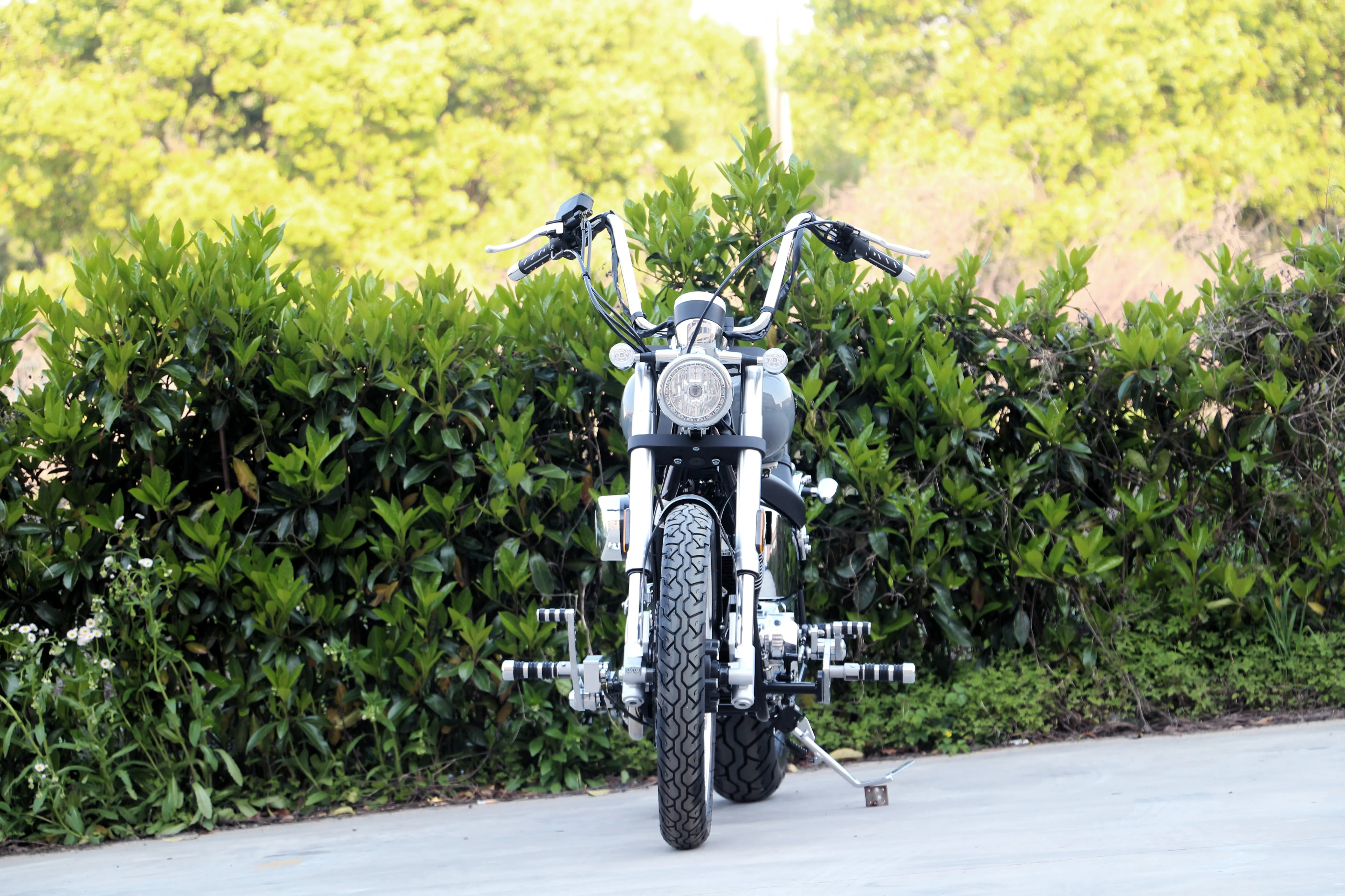 new EEC homologated Vintage 120KM/H motorcycle engine Adult gas moped 250cc gas motorcycle Racing moto petro Motorcycle