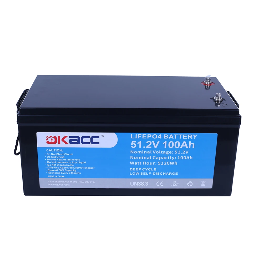 Smart Bms Deep Cycle Rechargeable Lithium Ion Battery 48 Volt 48V Lifepo4 100Ah