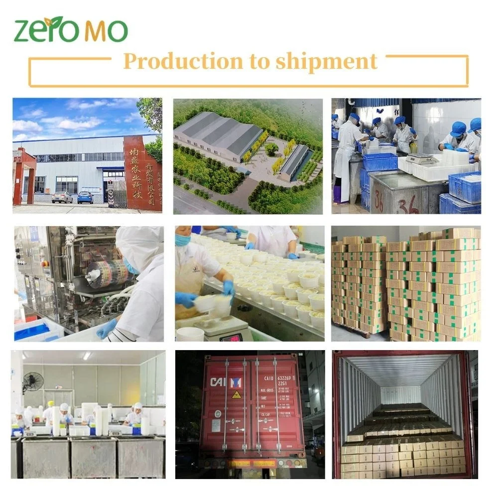 Amazon Ebay Wish Hot Sale Loss Weight Slimming Keto Vegen Organic Wheat Shirataki Konjac Pasta Ramen Noodles