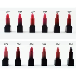 Customize oem lipstick liquid private label container Low Price