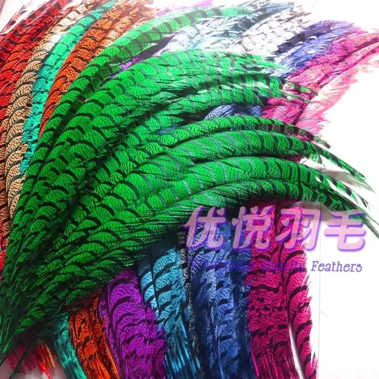 wholesale Top Quality  lady zebra pheasant ringneck reeves  tail feather  for Carnival samba decoration