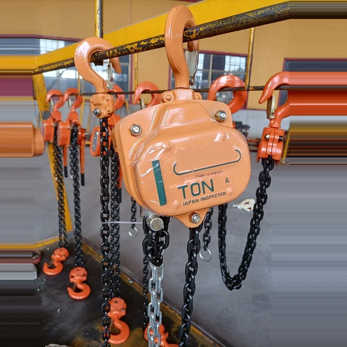 3-10 Ton 3m 5m 15m 20m Chain Block Price | in China Manual Hoist