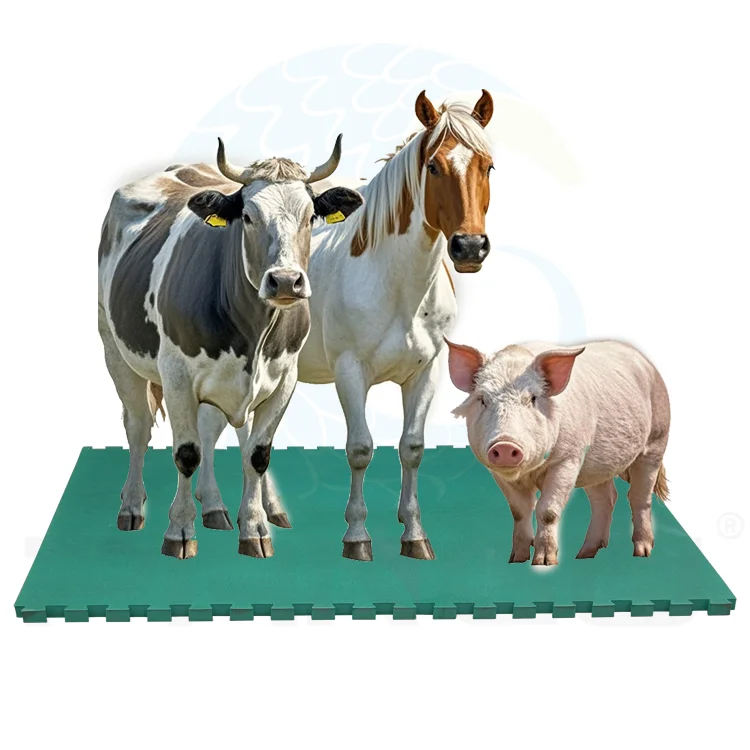 Best new Eva Cow Mats easy cleaning Livestock Enclosures Mat wear resistant Horse Stall Mats for cows horses pigs standing lying