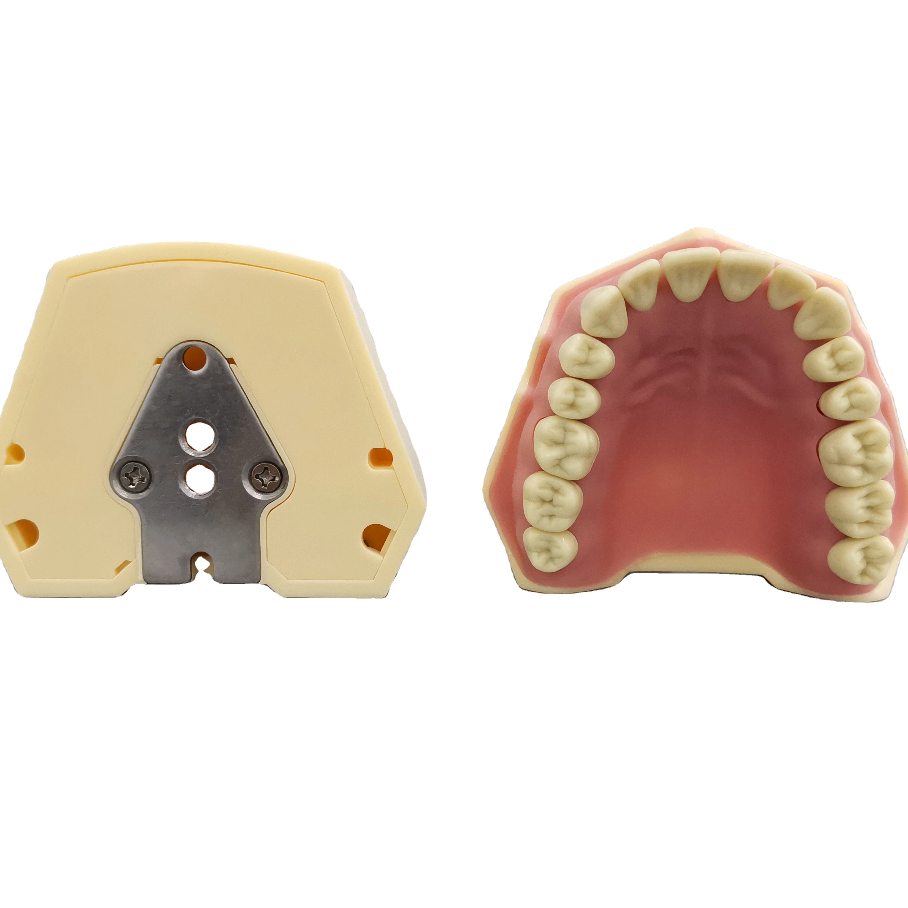 32*1 screw in replacement Frasco grey teeth for Education