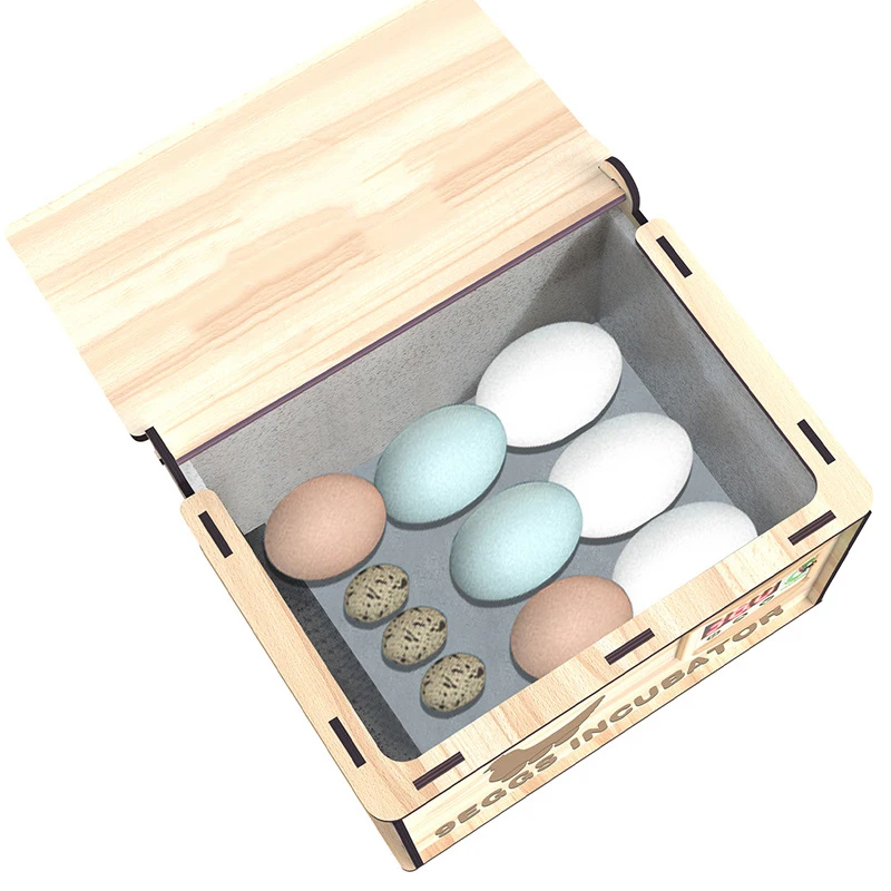 Cheap Price Small 9 Eggs Incubator Chicken Duck Quail Mini Eggs Incubator