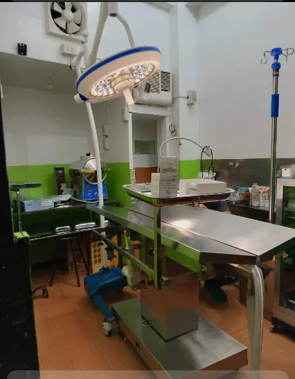 Wholesale Price  Single Head 160000 Lux Theater Room Light LED Shadowless Light Led Surgical Lights