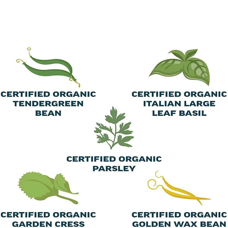 Custom Package Gift Box Home Garden Planter Bean Herbs Complete Starter Growing Kit