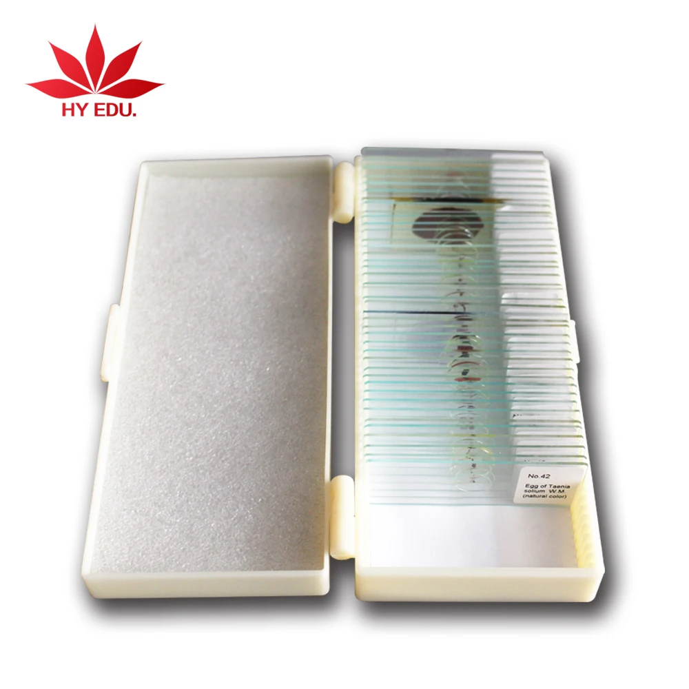 
42 pcs Medical parasitological parasites microscopic slides 