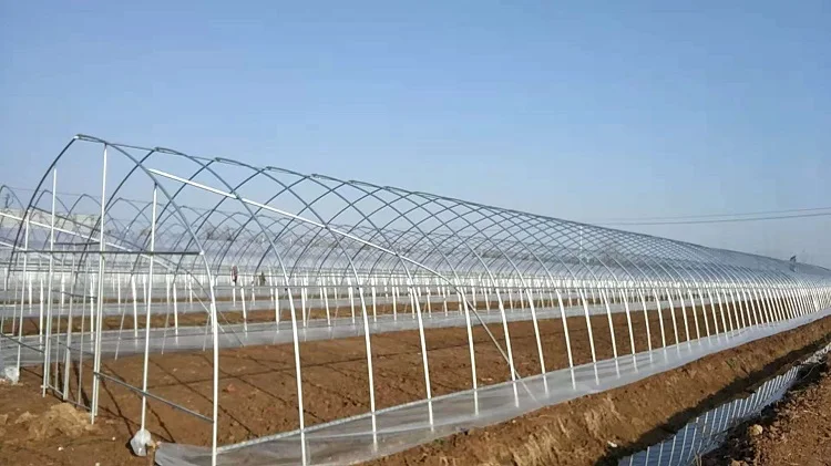 Арки туннель поли пленка зеленый дом для сельского хозяйства