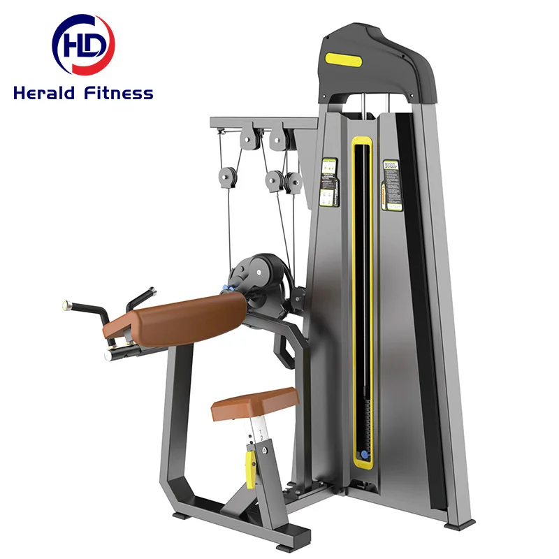 New Arrival Pin Loaded Sports Equipment Weight Cable Selectorized Strength Exercise Machine Biceps  Triceps With 1 Year Warranty