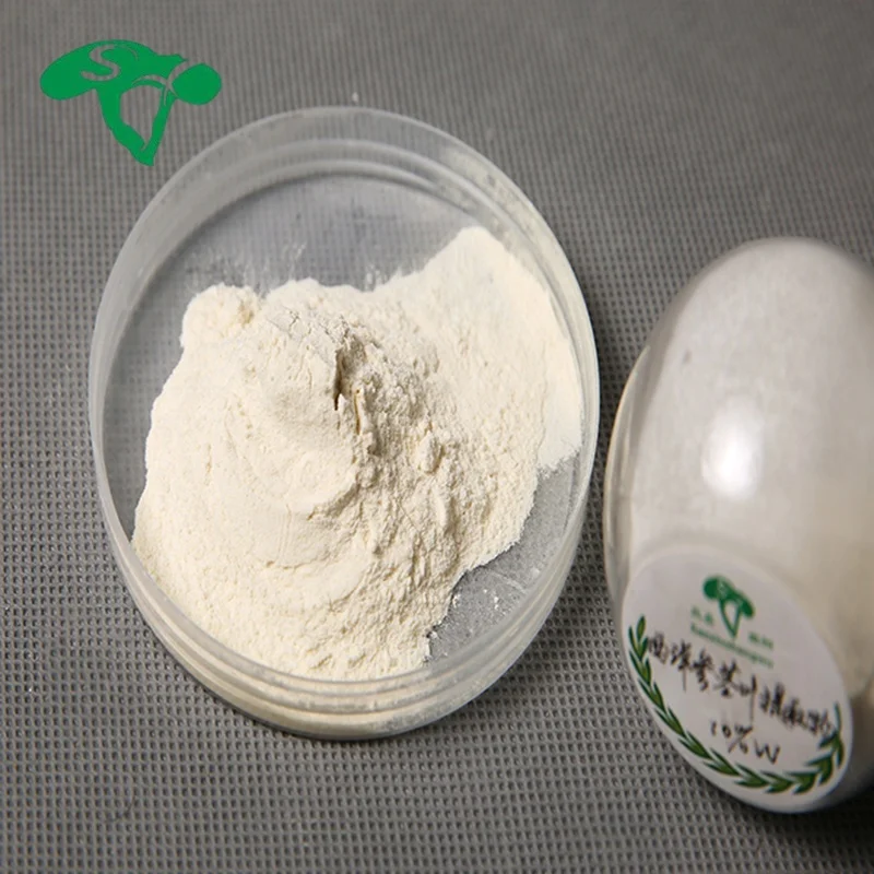 American Ginseng Extract Powder Panax Quinquefolius Saponins Panax Ginseng extract