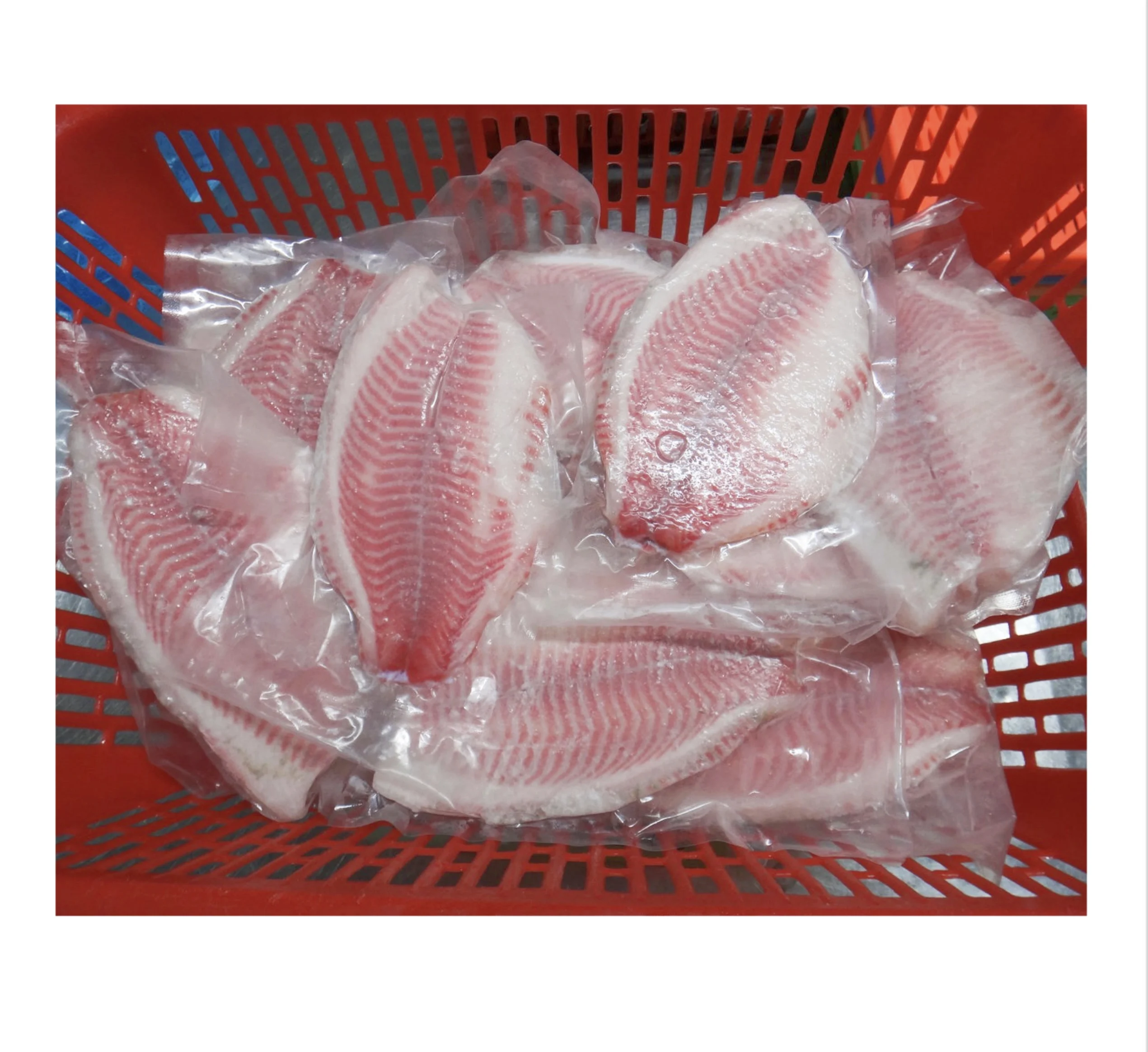 Best frozen fresh congelados filetes de tilapia/ PBO tilapia fillet