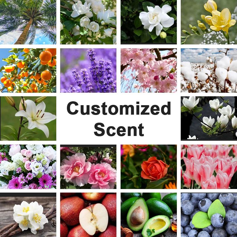 Factory Price Home Air Freshener Dispenser Aroma Beads Fragrance Diffuser Air Fresher Custom Scent Beads