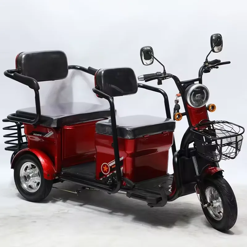 Three Wheels Cargo Electric Tricycle Motorcycle Mobility Scooter ebike 3 wheels electric bike with cover