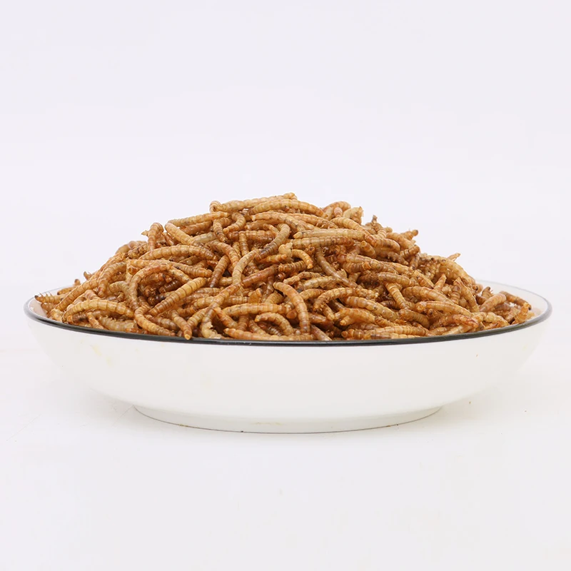 
Wholesale high-protein larvae rich in nutrient insect dried mealworm 