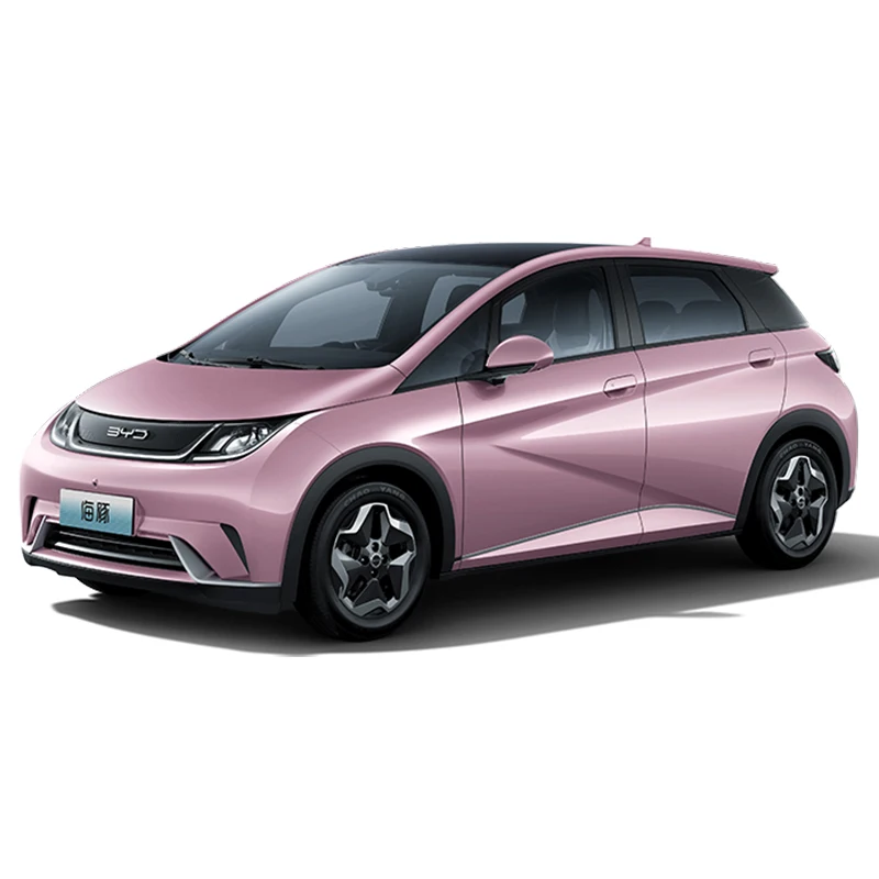 IN STOCK NOW Byd  Dolphin used cars from nederland used cars hand drive selling used cars in belgium