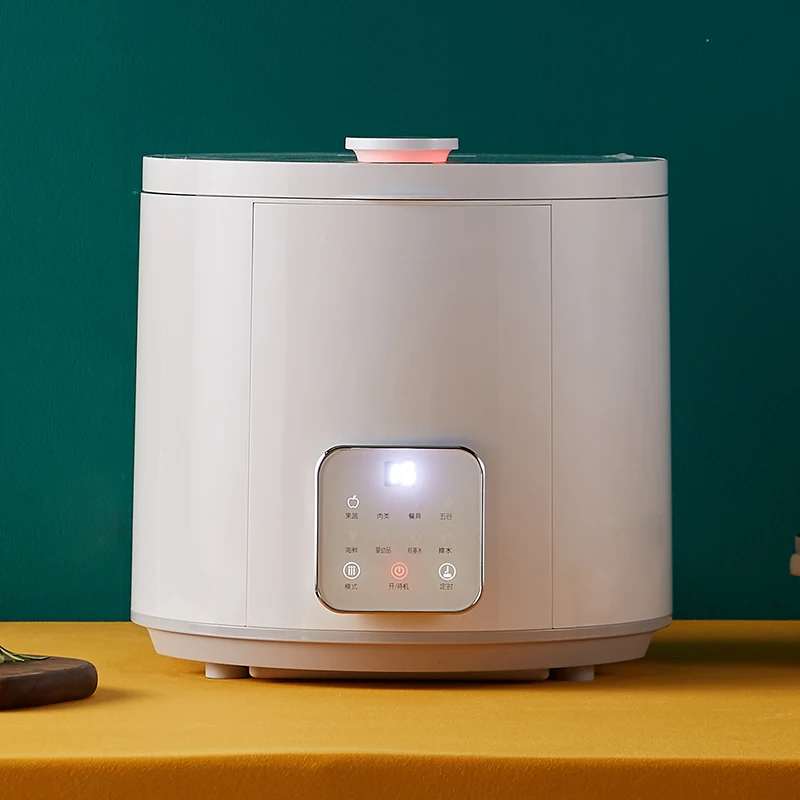 Electrolysis Split Fruit&Vegetable Cleaning Machine 9L Food Cleaner Ozone Food sterilizer cleaning machine