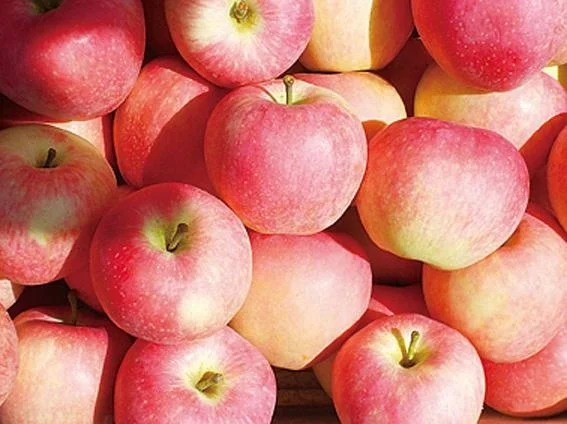 FRESH RED SWEET APPLES IMPORT WHOLESALE
