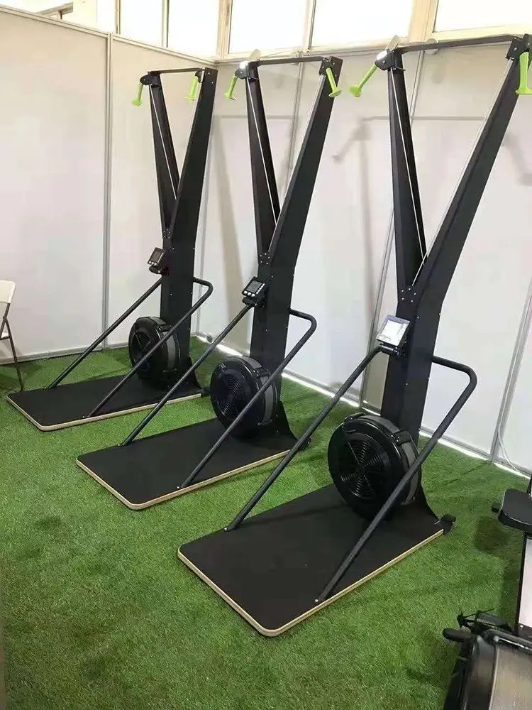 arcade twin nordic skiing snow gym equipment fitness simulator wind resistance air row indoor rowing and ski machine