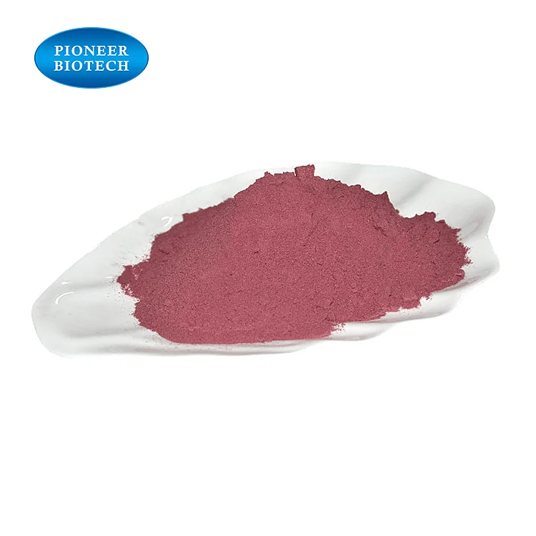 
Elderberry Extract powder 5:1 ,10:1 with best price 