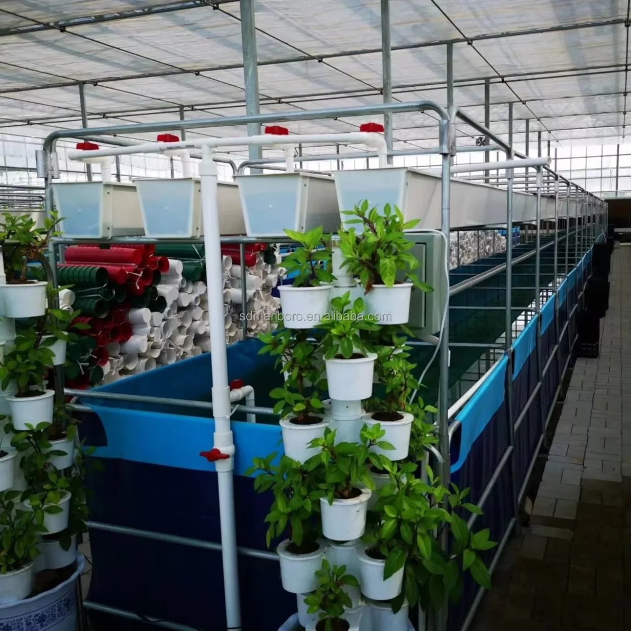 SDM Agricultural Equipment Fish Pond Plastic Square Shape Fish Farming Tank Manufacturer