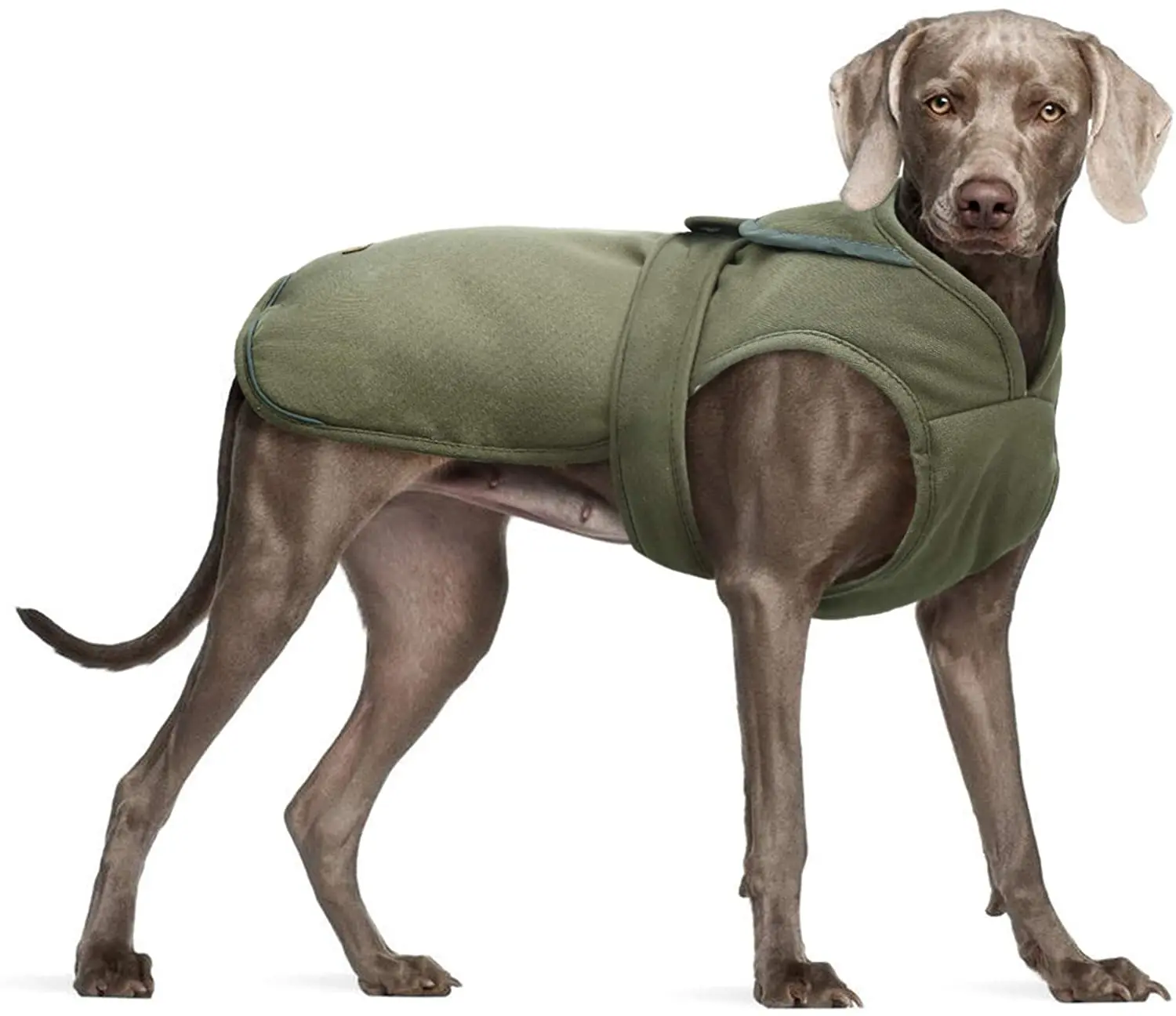 Canvas Cold Weather Dog Coat for Winter, Reflective Dog Warm Fleece Jacket Water Repellent warm designers dog clothes pet