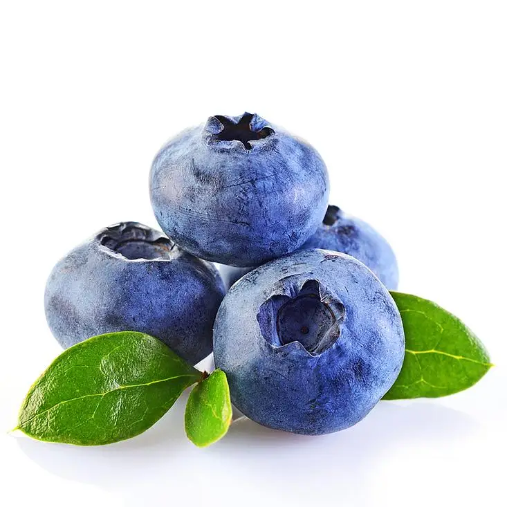 Wholesale premium fresh blueberries