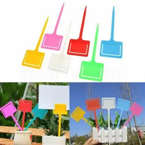 China Repeated Use Replaceable Paper Jam Printed Plant T Type Abels Plastic Plant ID Tags Markers For Garden