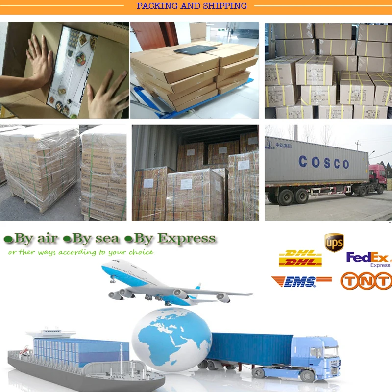 High Quality Soft Cover Book Offset Printing Cheap Paperback Book Custom Printing
