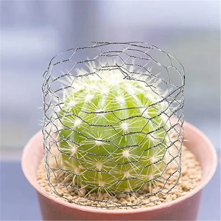 High Quality Bird Cages Metal Galvanized Iron Material Hexagonal Wire Mesh For Fence Rabbit Dog Hardware