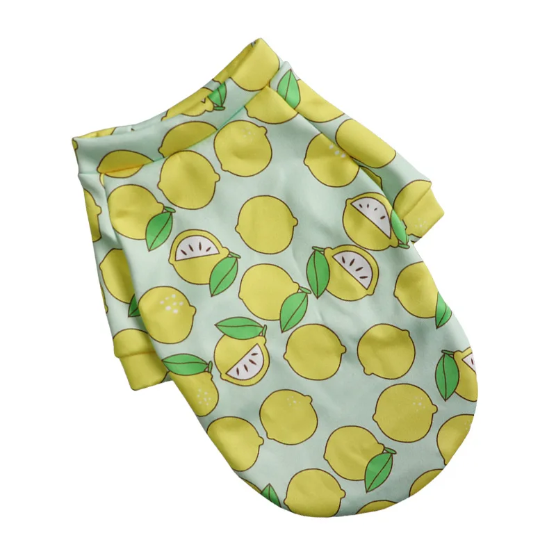 Designer Spring Summer Vest Luxury Harness Dress Pets Clothes for Pet Space Fashion Business Baby Gifts