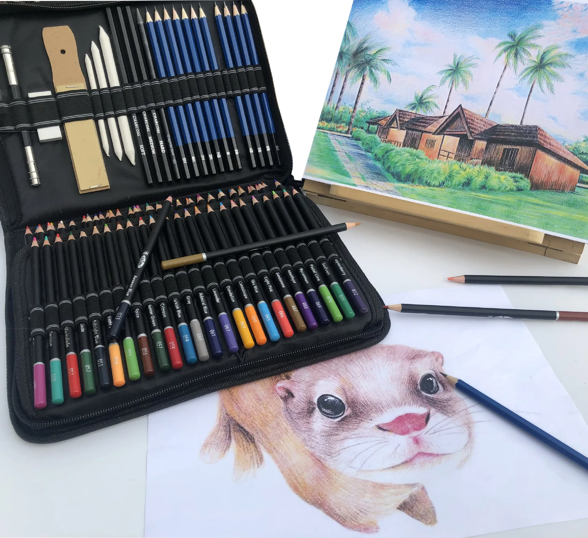 Professional Drawing Pencils and Sketch Painting Kit  for Professional Art Supplies for Artists and Beginners