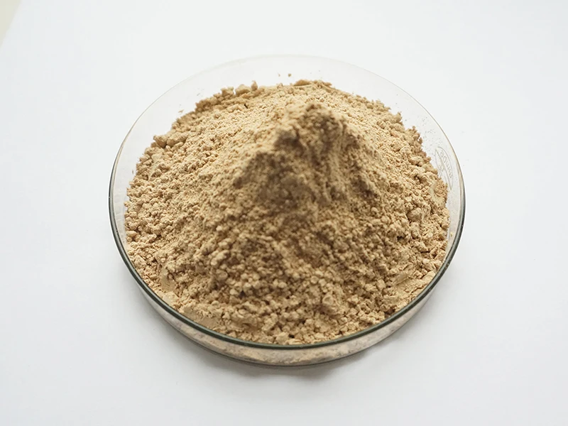 40% Soybean Extract Powder Isoflavone