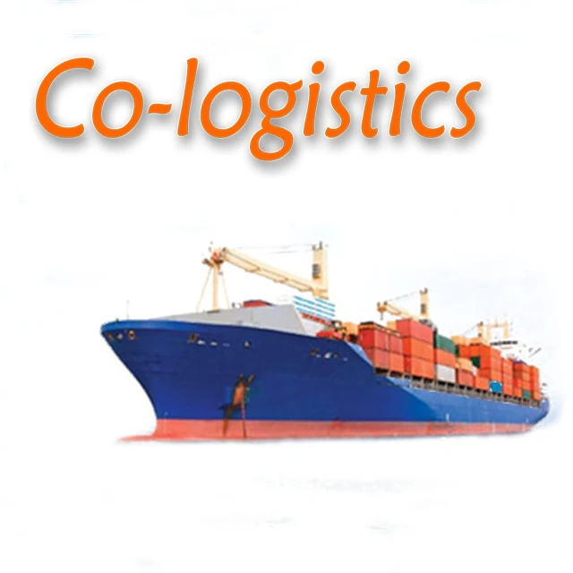 ddp door to door shipping from China to United Arab Emirates/UAE sea+truck shipping