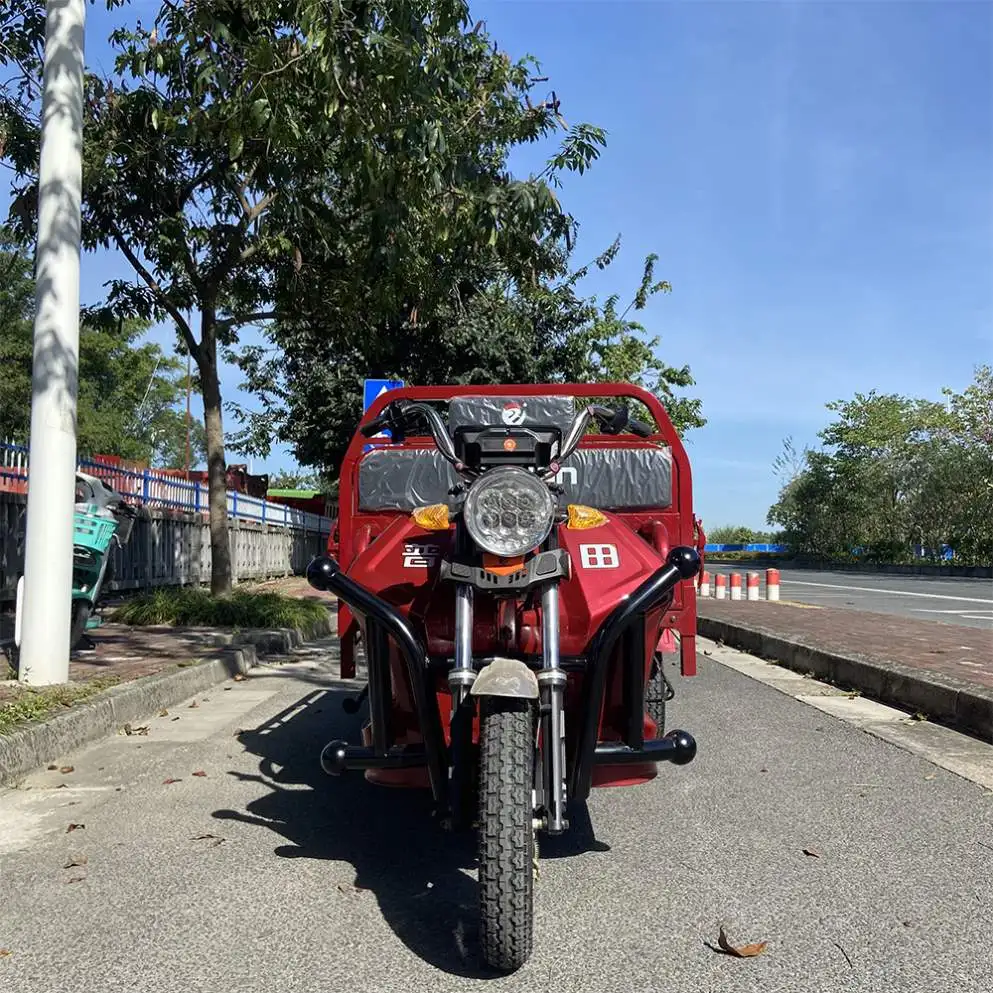 Professional 90Km Motor Rickshaw For Adult