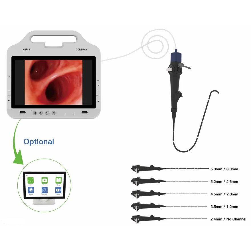 5 models Flexible Video  Bronchoscopy  with screen for diagnisis