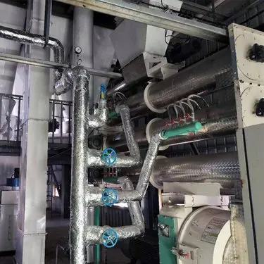 WSL 100 ton/day Animal Feed Processing Machines  Pellet Machine Production Line