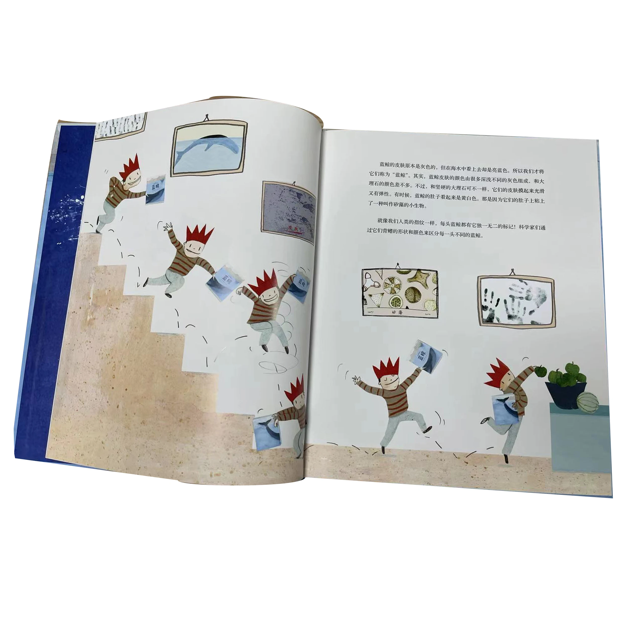 Customized Printing Cartoon Animal Water Color Painting Book Early Education Graffiti on Cardboard & Art Paper