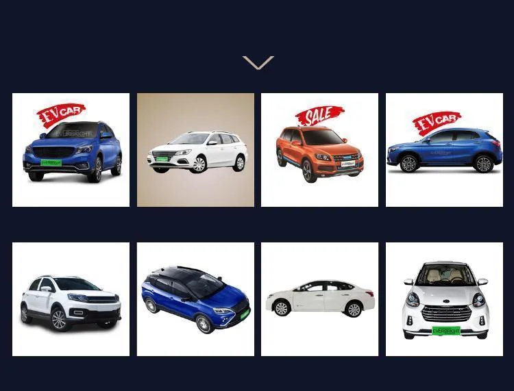 Electric Automobile High Speed Pickup