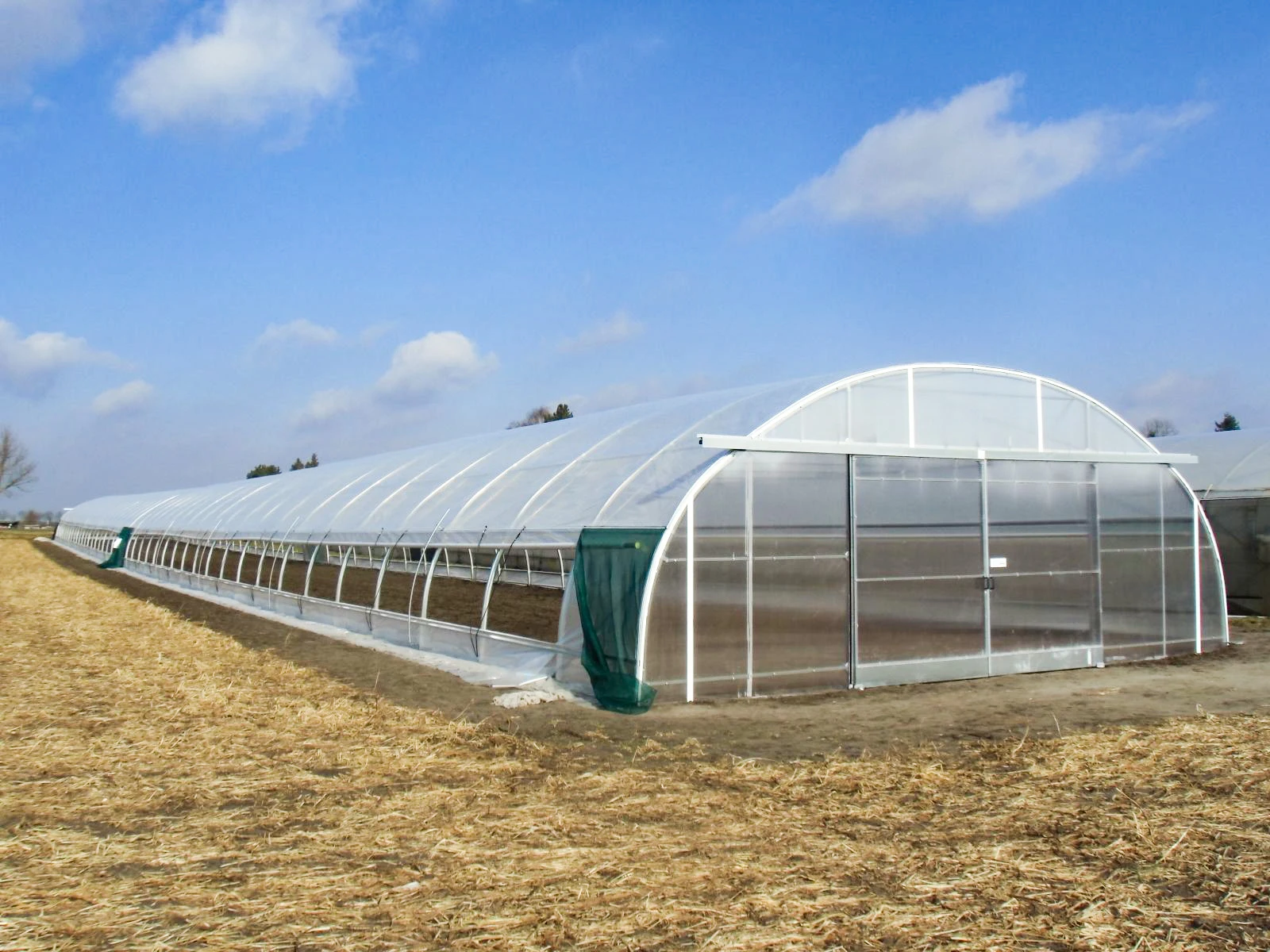 CUOYUEH Hot Sale Low Cost Tunnel Frame Single Span Pe Film Greenhouse Serre Agricole For Flowers Plant Agriculture Greenhouse