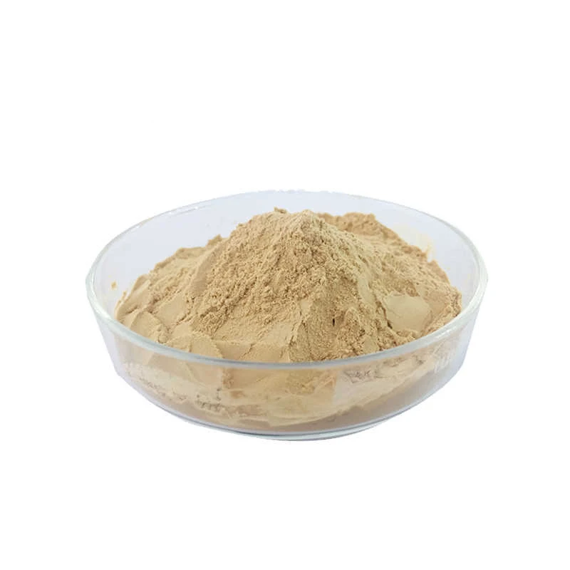 OEM Wholesale 100% Whey Protein Isolate Whey Protein Powder Private Label