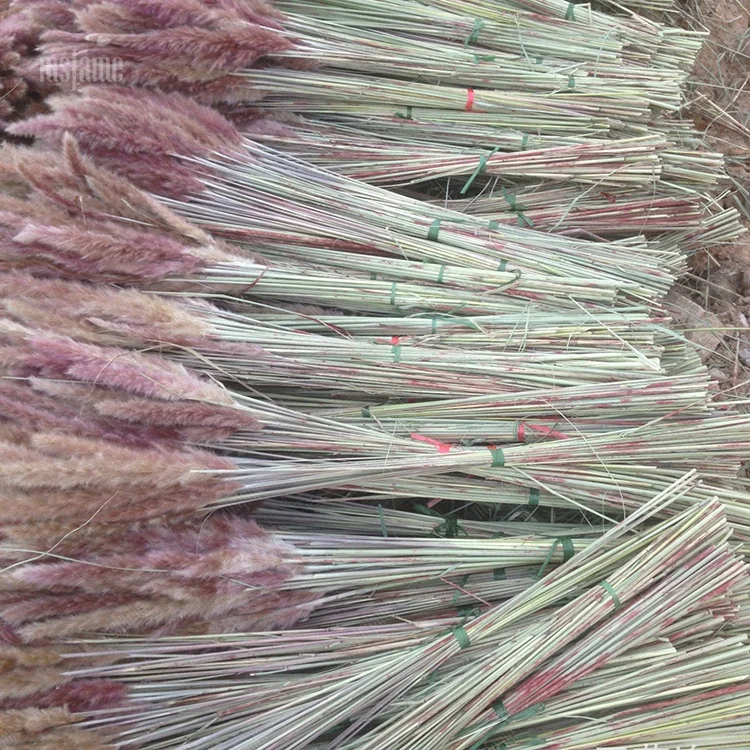 Hot Sale Small Flower Pampass Grasses Decor Wedding Pampas Grass Dried Flowers