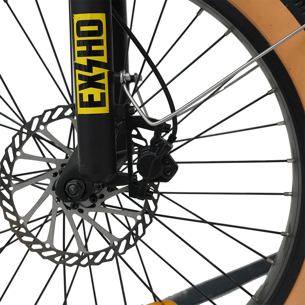 Aimos 500W/1000W  3 Wheel Passenger Electric Bike  7 speed shimano Fat Tire Family Electric Tricycle 3 Wheel Cargo electr bike