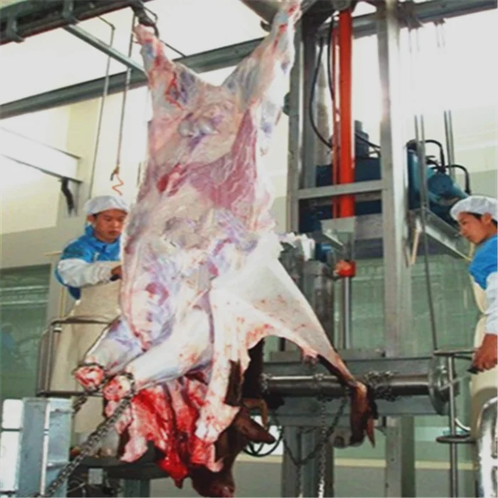 Cattle bovine slaughtering equipment cow slaughtering line